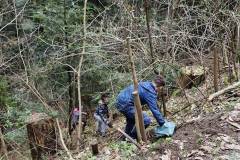 e2abf6b5-1002-4c35-a551-a6fdf58c1ac4