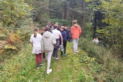 shared-image-3