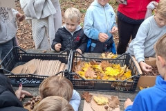 7850
