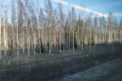 Joensuu_06