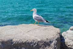 IMG_20260522_150717