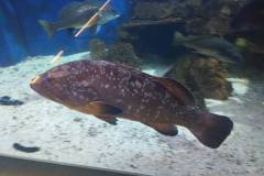 IMG_20260522_164723
