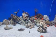 IMG_20260522_165834