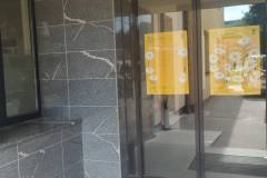 shared-image-9