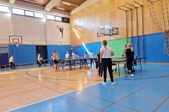 Namizni tenis