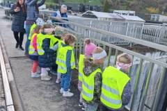 63f7d20f00b8aae0501116a36a5b8898