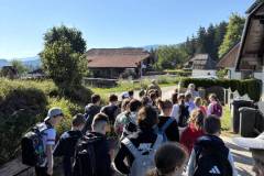 Primoz-6