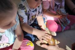 0c6bc9cbcb6ee7f14f998e0accee80dc