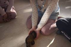 469f2218fb7b3c8a33b2a7e97e2569e6