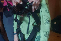 Image-6