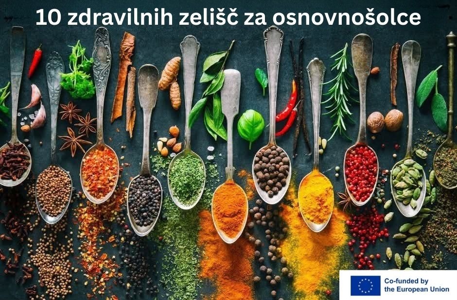 10-zdravilnih-zelisc-za-osnovnosolce.jpg