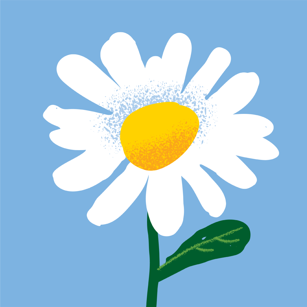 TVU2025_rozica.png
